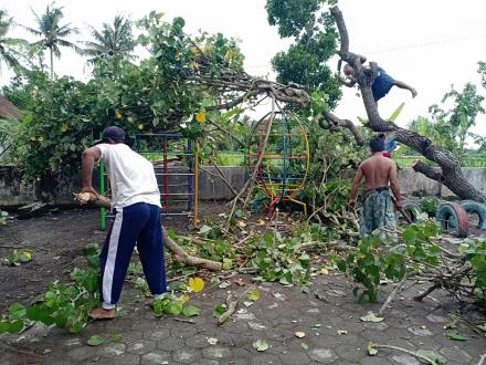 FPRB DESA SRIGADING EVAKUASI POHON TUMBANG DI TK PKK NGEMPLAK